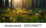 Small photo of flowet sunny spring meadow. Horizontal close-up with short deep of focus. Natur background concept for leisure and ecology with space for text and design.