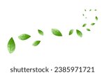 Flying green leaves isolated on ...