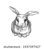 rabbit illustration isolated on ... | Shutterstock .eps vector #1937397427