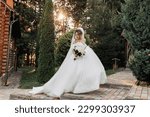 Small photo of portrait of the bride in nature. A brunette bride in a voluminous dress and veil, standing, posing with a bouquet against the background of a forest and a wooden hut. A beautiful ray of the sun.
