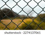 Small photo of Green Fence Gird countryside old