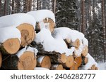 Snow covered forest road with piles of timber logs on road side. Firewood in winter on the side of the forest road. Logs stacked ready for removal. Timber in winter. Snow covered wooden logs