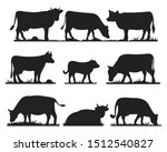 Cows In Different Poses Vector...