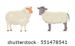 Vector Set Cute Sheep And Ram...