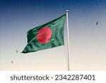 Small photo of Bangladesh fag premium quailty download now