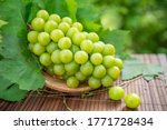 Shine Muscat Grape With Leaves...