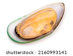 Green Shell Mussels  Isolated...