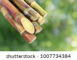 Sugar cane, Cane, Sugarcane piece fresh, sugar cane on green nature bokeh background, Sugarcane agriculture