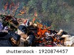 Small photo of fire burn garbage waste plastic, smoke polluted of waste plastic incineration, garbage waste disposal with burnt incinerate, fire flame garbage burning and smoke air pollution