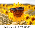 A beautiful Sunflower is having fun in the sun wearing a sunglass. Which will give you a feel good vibe. 