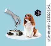 Small photo of food for dog, spaniel, hand with dog food, feeding pet, happy, food, eating, dog owners, feed your pet, small breed of dog, collage art, photo collage