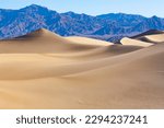 Smooth sand dune undulations contrasts with the jagged mountains beyond, Mesquite Flats Sand Dunes, Death Valley National Park, California