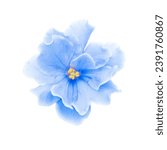Light blue flower on a white...