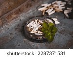 Small photo of Concept photo symbolizing detrimental to health and the environment. Close - up glass ashtray with cigarette butts and green sprout. Concept of ecology pollution and garbage in the nature.