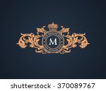 vintage crest logo elements... | Shutterstock .eps vector #370089767