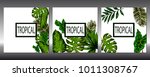 set of tropical leaves. vector.  | Shutterstock .eps vector #1011308767