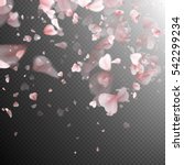 pink sakura petals background.... | Shutterstock .eps vector #542299234