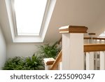 Small photo of Shallow focus of a wooden bannister at the top of a recently converted loft space. Half way down the stairs are house plants on a ledge and nearby skylight window.