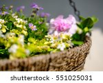Isolated Hanging Basket Shows A ...