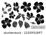 decorative hibiscus flowers set ... | Shutterstock .eps vector #1233931897