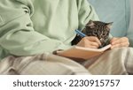 Small photo of woman highlights the main thoughts in a book with a marker, the concept of self-education. affectionate kitten watching resting in the arms of the hostess