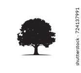 oak tree logo vector | Shutterstock .eps vector #724137991
