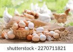Basket of colorful chicken eggs ...