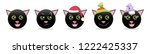 emoticons set of graphic   cats.... | Shutterstock .eps vector #1222425337