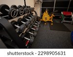 Small photo of Auckland, New Zealand - April 21st 2023: Home garage gym, dumbbell rack and hip thrust machine