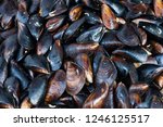 Small photo of Fresh live mussel stuck fast on breakwaters by the seashore
