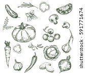 hand drawn vegetables vintage... | Shutterstock .eps vector #591771674