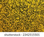 Small photo of All-over photograph of a highly detailed texture depicting a surface covered by a multitude of golden patterns of oblong shapes, ellipses and random circles looking like bacterial biological cells.
