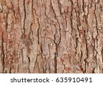 Tree Bark Texture Pattern. Wood ...