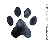 Dog Or Cat Paw Print Graphic...