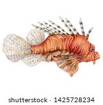 Watercolor Red Lionfish....