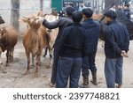 Small photo of Ha Giang, Vietnam – 10.15.2023: Cattle traders from the Hmong tribe haggle over cows in the market in Dong Van