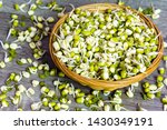 Top view of green fresh mungo sprouts in a wicker bowl on a wooden background. Food photography. Minimalist photography.