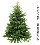 Green Pine  Christmas Tree...