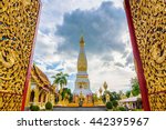 Unique Wat Phra That Panom...