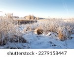 Beautiful landscape of nature in earky spring. All nature in hoarfrost. Dry grass on the beach river covered with snow. Beautiful view on river and her banks in dry grass. 