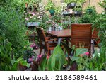 Cosy Little Patio area in the garden with wooden seating area and lots of green plants in planters such a Canna, fuchsias and succulents in shabby chic pots