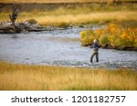 Man Fly Fishing In River In...