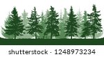 Silhouette Of Coniferous Forest ...