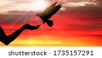 silhouette of pigeon bird flies ... | Shutterstock .eps vector #1735157291
