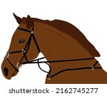 horse in harness  animal head... | Shutterstock .eps vector #2162745277