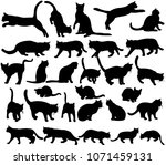  icon  silhouette cat  set ... | Shutterstock .eps vector #1071459131