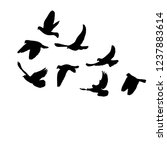 vector  isolated  flock of... | Shutterstock .eps vector #1237883614