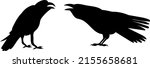 crows silhouette  on white... | Shutterstock .eps vector #2155658681