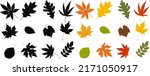 autumn leaves set in flat... | Shutterstock .eps vector #2171050917