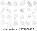 sketch leaves set  doodle ... | Shutterstock .eps vector #2171050927